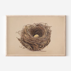 Vintage Birds  Nest Art Print Charming Nest Poster Easter Art Nest with Egg Digital Download  Print by Aureate Vintage