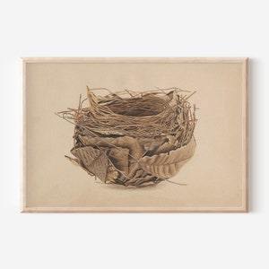 Vintage Birds  Nest Art Print Charming Nest Poster Easter Art Digital Download  Print by Aureate Vintage