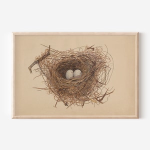 Vintage Birds  Nest Art Print Charming Nest Poster Easter Art Digital Download  Print by Aureate Vintage