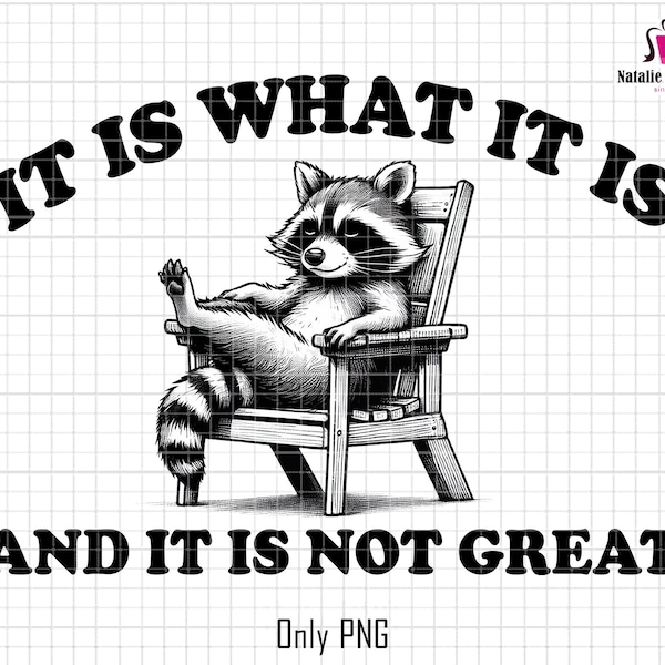 It Is What It Is And It Is Not Great Png, Funny Raccoon Png, Raccoon Meme Png, Racoon Png, Sarcastic Saying Png, Funny Trash Panda Merch Png