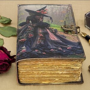 Puede incluir: Un diario decorativo con una ilustraci&oacute;n de bruja en la portada, con un vestido negro con rosas rosas. El diario tiene p&aacute;ginas envejecidas y amarillentas y un cierre de metal. Una rosa seca y un tintero est&aacute;n cerca.