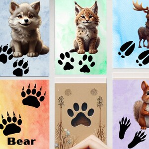 Cartes Flash sur les traces d'animaux des bois d'hiver : ensemble éducatif d'inspiration Montessori avec pages à colorier bonus sur les traces d'animaux
