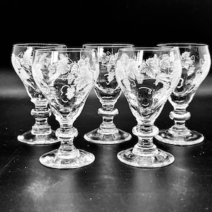VINTAGE shot Glasses | 5 Vintage liquor spirit cordial Glasses with grape and vine print | Aperitif Toasting glasses