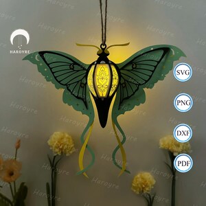 Lanterne papillon SVG pour projet Cricut DIY, boîte ombre animal, lampe papillon lanterne pour décoration intérieure