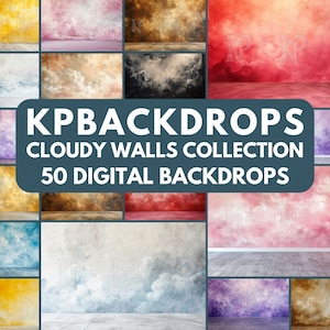 Cloudy Walls Collection Digital Backdrop, Maternity Photo Backdrop, Wall Background, Studio Photoshop Composite, Room Overlay W16