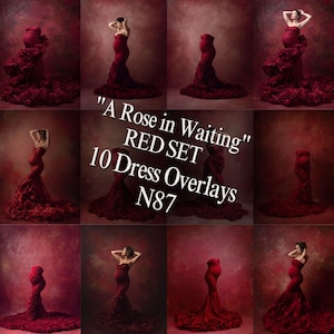 Red Roses Dress Background, Digital Dress Overlays, Maternity Gown Backdrop, Pregnancy Fine Art, Flying Fabric, Minimal
