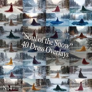 Puede incluir: Un collage de 40 superposiciones digitales de vestidos para fotos. Las superposiciones son de varios colores y estilos, incluyendo rojo, azul, verde, amarillo y blanco. Las superposiciones están todas sobre un fondo de invierno nevado. El texto "Soul of the Snow" y "40 Dress Overlays" se muestra en el centro del collage.