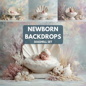 Könnte beinhalten: Neugeborenen-Hintergründe, Muschel-Set. Das Bild zeigt ein Baby in einer weißen, muschelförmigen Requisite, umgeben von Trockenblumen und dekorativen Elementen. Der Hintergrund hat eine weiche, pastellfarbene Farbpalette. Der Text "NEWBORN BACKDROPS SEASHELL SET" wird angezeigt.