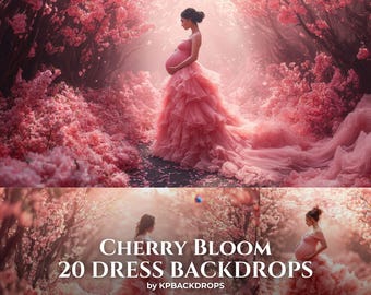 Cherry Bloom & Pink Dress Maternity Background: Floral Scene Digital Backdrop Overlay