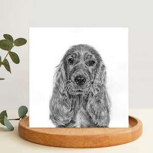 Cocker Spaniel Greetings Card