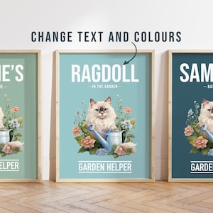 Any colour - Ragdoll Cat in garden poster -  Ragdoll Cat poster -  Ragdoll Cat Custom text print - Personalised print - Pet Art