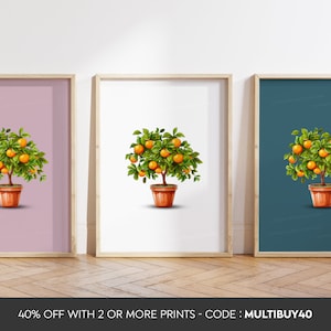 Any colour - Orange Tree poster - Orange Tree in pot poster - Plant art - Plant print - Any Size