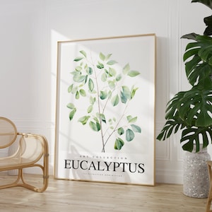 Any colour - Eucalyptus leaves print - Eucalyptus leaves poster - Eucalyptus tree Art - Vintage print - Any Size