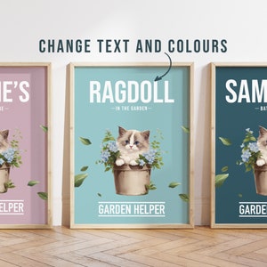 Any colour - Ragdoll Cat in garden poster -  Ragdoll Cat poster -  Ragdoll Cat Custom text print - Personalised print - Pet Art