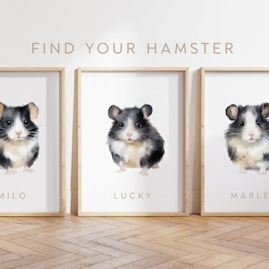 Any Colour - Black Hamster - Black Hamster poster - Custom text print - Personalised print - Pet Art - Watercolour Art