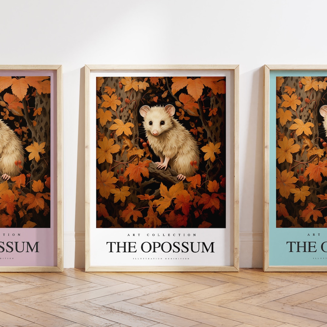 The Opossum Print - Opossum Illustration Poster - Opossum Painting ...