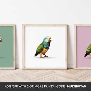 Any colour  - Baby Parrot Print - Baby Parrot poster - Bird poster - Parrot print - Any Size