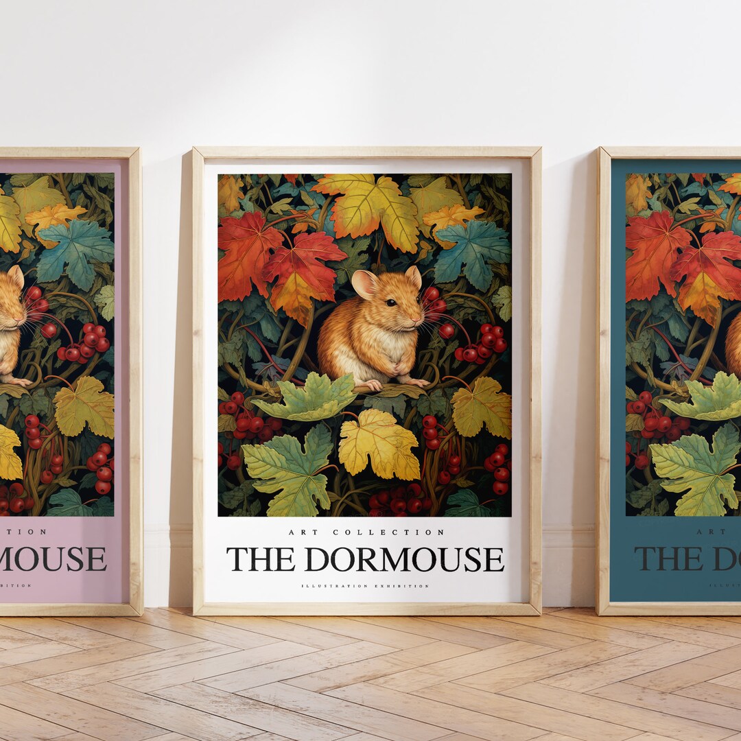 Dormouse Poster Dormouse Print Dormouse Art Animal Art Animal Print Any ...