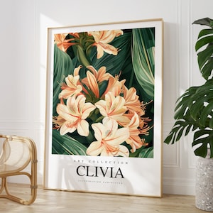 Any colour - Clivia print - Clivia poster - Clivia Art - Vintage print - Any Size