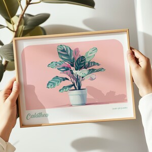 Calathea Plant landscape print, Calathea Plant poster, Calathea Plant wall art