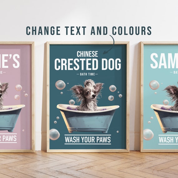 Any Colour Chinese Crested Dog in Bath Poster Chinese Crested