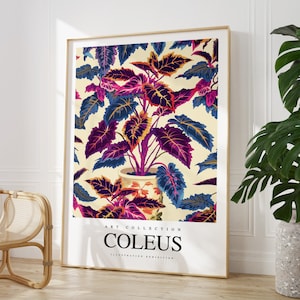 Any colour - Coleus Plant print - Coleus Plant poster - Coleus Plant Art - Vintage print - Any Size
