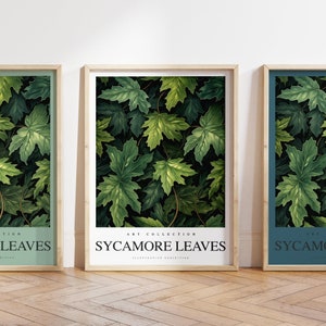 Any colour - Sycamore tree leaves print - Sycamore leaves poster - Sycamore tree Art - Vintage print - Any Size