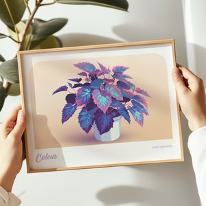 Coleus Plant landscape print, Coleus Plant poster, Coleus Plant wall art