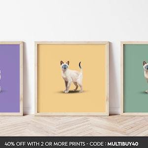 Any colour - Colourpoint Shorthair Cat poster - Colourpoint Shorthair Cat print - Colourpoint Shorthair Cat print - Cat Art - Any Size