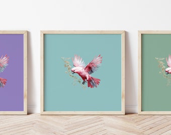 Galah Rose Cockatoo poster - Galah Rose Cockatoo print - Galah Rose Cockatoo art - Finch illustration - Birds print - Any Size