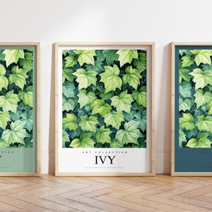 Any colour - Ivy print - Ivy plant poster - Ivy Vine Art - House prints - Vintage print - Any Size