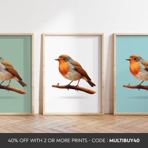 Any colour  - Robin Print - Robin poster - Red Robin Art - Bird Prints - Any Size