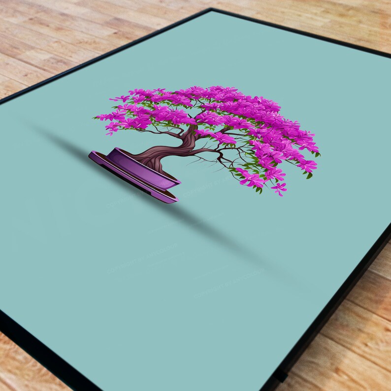 Any colour Any Size Bonsai tree Jacaranda Mimosifolia Brazilian Rosewood Bonsai image 6