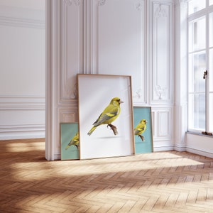 Any colour  - Greenfinche print - Greenfinches poster - Greenfinches Art - Bird Prints - Any Size