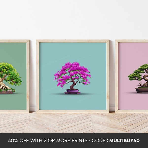 Any colour - Any Size - Bonsai tree - Jacaranda Mimosifolia - Brazilian Rosewood - Bonsai