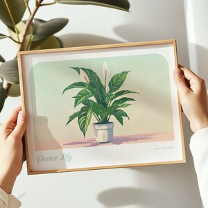 Peace Lily Plant Landschaftsdruck, Peace Lily Plant Poster, Peace Lily Plant Wandkunst