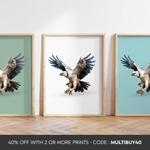 Any colour  - Harpy Eagle Print - Harpy Eagle poster - Vulture Art - Eagle print - Any Size