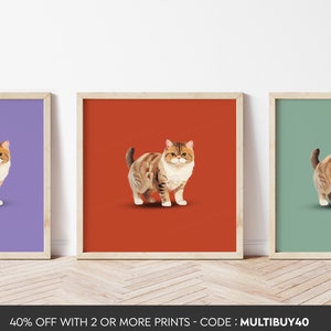Any colour - Exotic Shorthair Cat poster - Exotic Shorthair Cat print - Exotic Shorthair Cat print - Cat Art - Any Size