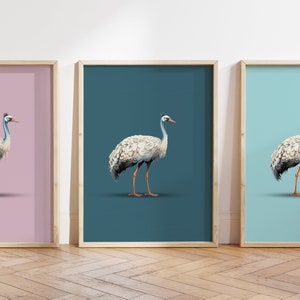 Rhea poster - ostrich print - ostrich art - ostrich illustration - Birds print
