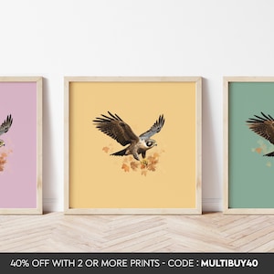 Peregrine Falcon poster - Peregrine Falcon Print -  Peregrine Falcon art - Bird Art - Birds print - Any Size
