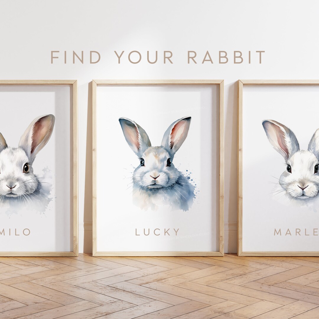 White Rabbit Red Rabbit Posters Any Colour - White Rabbit - White Rabbit Poster - Custom Text Print ...