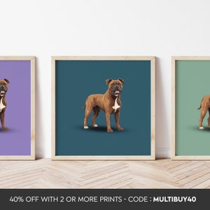 Any colour - Staffordshire Bull Terrier - Staffordshire Bull Terrier dog print - Staffordshire Bull Terrier print - Dog Art - Any Size