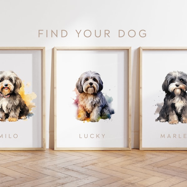 Jede Farbe - Havaneser Hund - Havaneser Plakat - Benutzerdefinierter Text Druck - Personalisierter Druck - Haustier Kunst - Aquarell Kunst