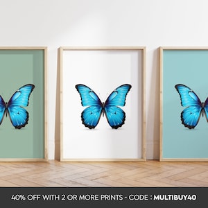 Any colour  - Blue Morpho Butterfly Print - Blue Morpho Butterfly poster - Blue Morpho Butterfly Art - Butterfly print - Any Size
