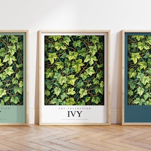 Any colour - Ivy print -Ivy plant poster - Ivy Art - Vintage print - Any Size