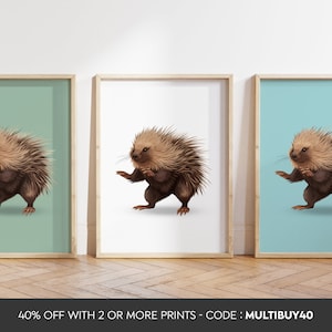 Any colour  -Porcupine Print - Porcupine poster - Porcupine Art - Porcupine print - Any Size