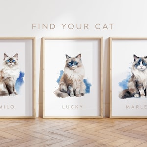 Any Colour - Ragdoll Cat - Ragdoll Cat poster - Custom text print - Personalised print - Pet Art - Watercolour Art