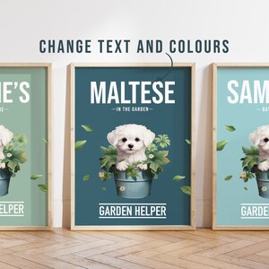 Any Colour - Maltese in garden poster - Maltese poster - Custom text print - Personalised print - Pet Art