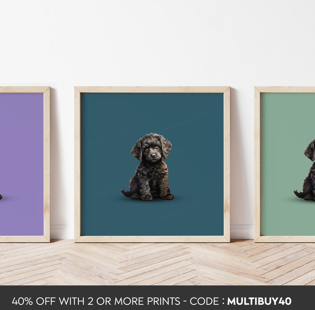 Any Colour - Poodle Puppy Poster - Poodle Print - Poodle Puppy Print ...
