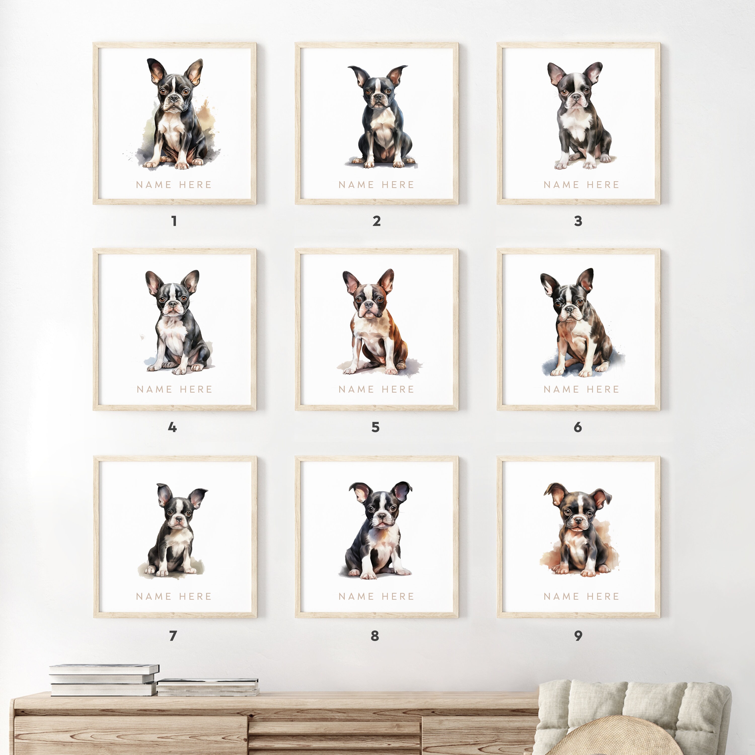 Buddy The Boston Terrier Coloring Poster - 24x36 Inch Giant Coloring Page On Heavy Paper